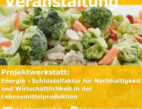 DLR and Sanddorn GmbH presented the Demo#4 decarbonization concept from SINNOGENES project within the workshop “Energy as the key to food production” organized by SAENA (Saxony Energy Agency)